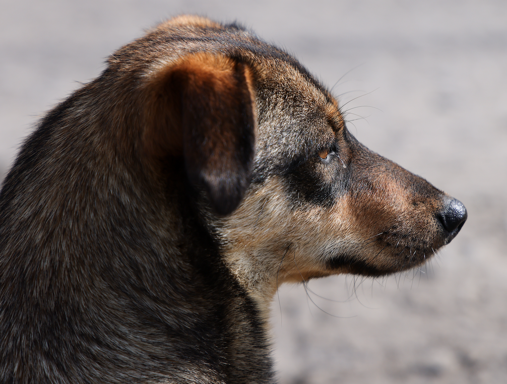 Фото: Эрик Романенко/ТАСС