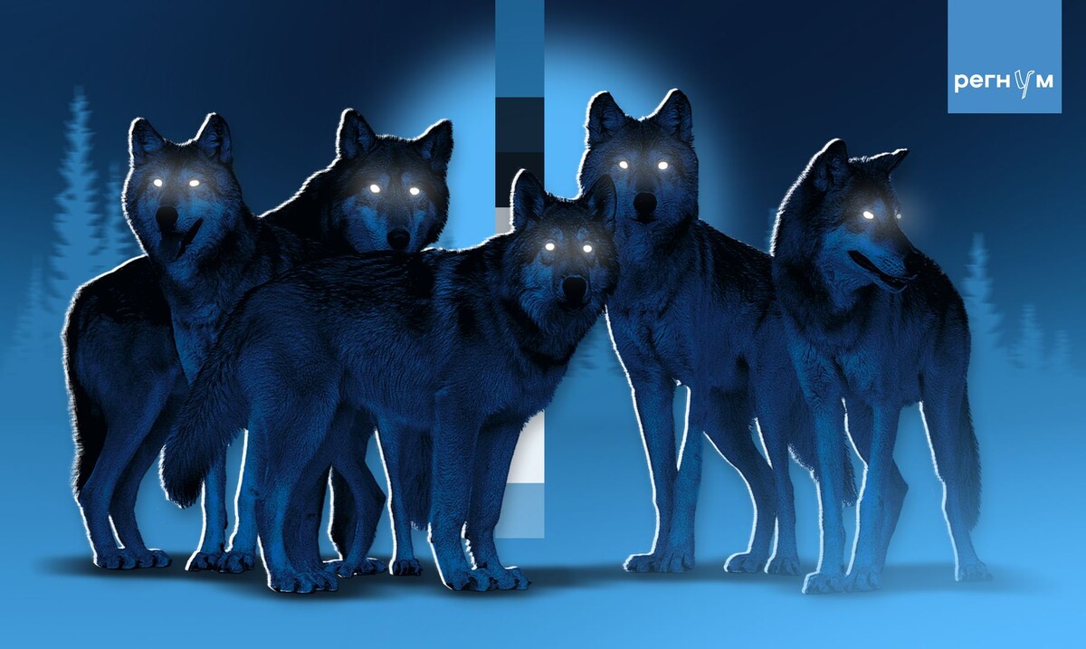     / Источник: © ИА Регнум