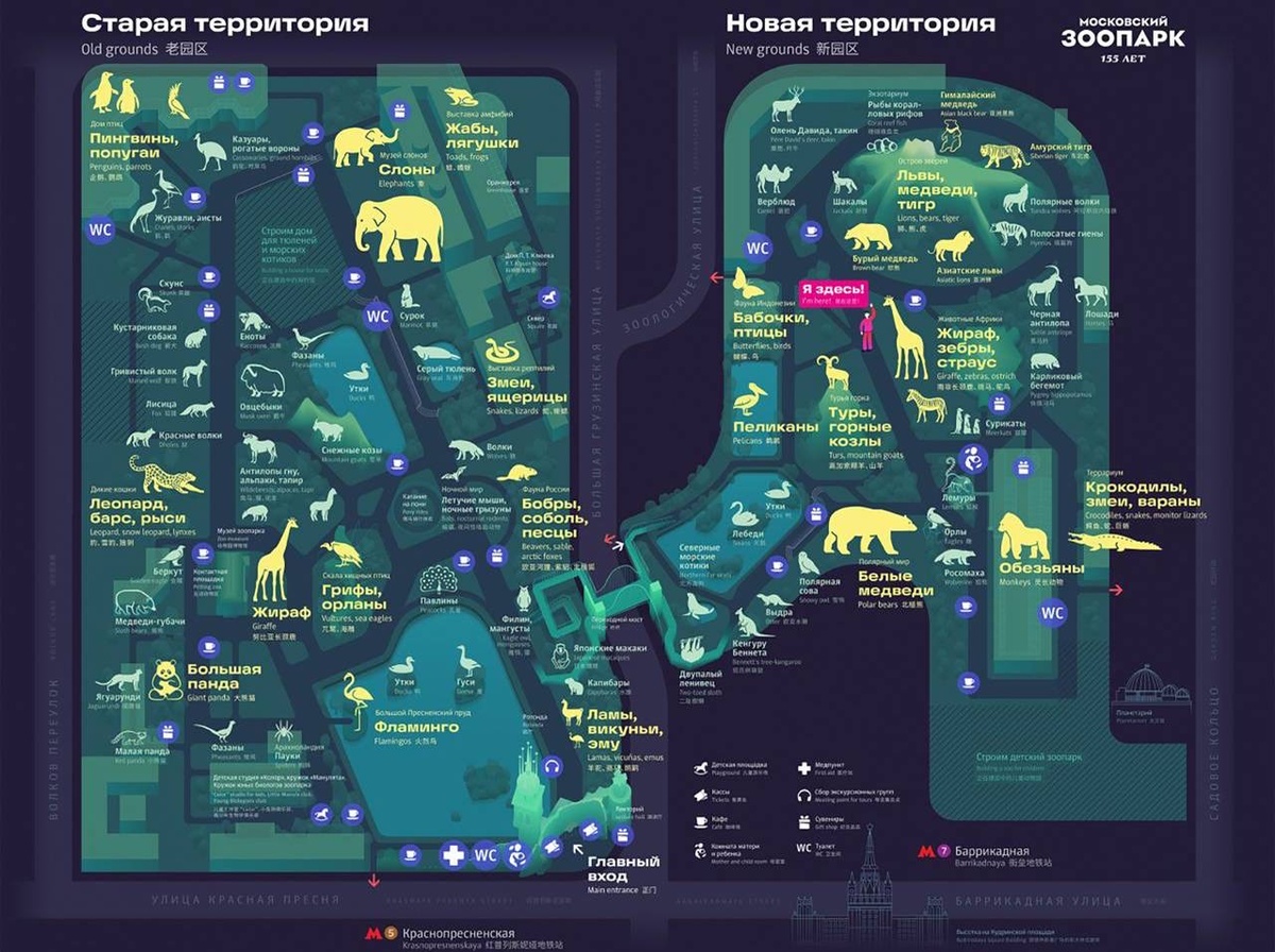Московский зоопарк получил новую навигацию от студии Артемия Лебедева