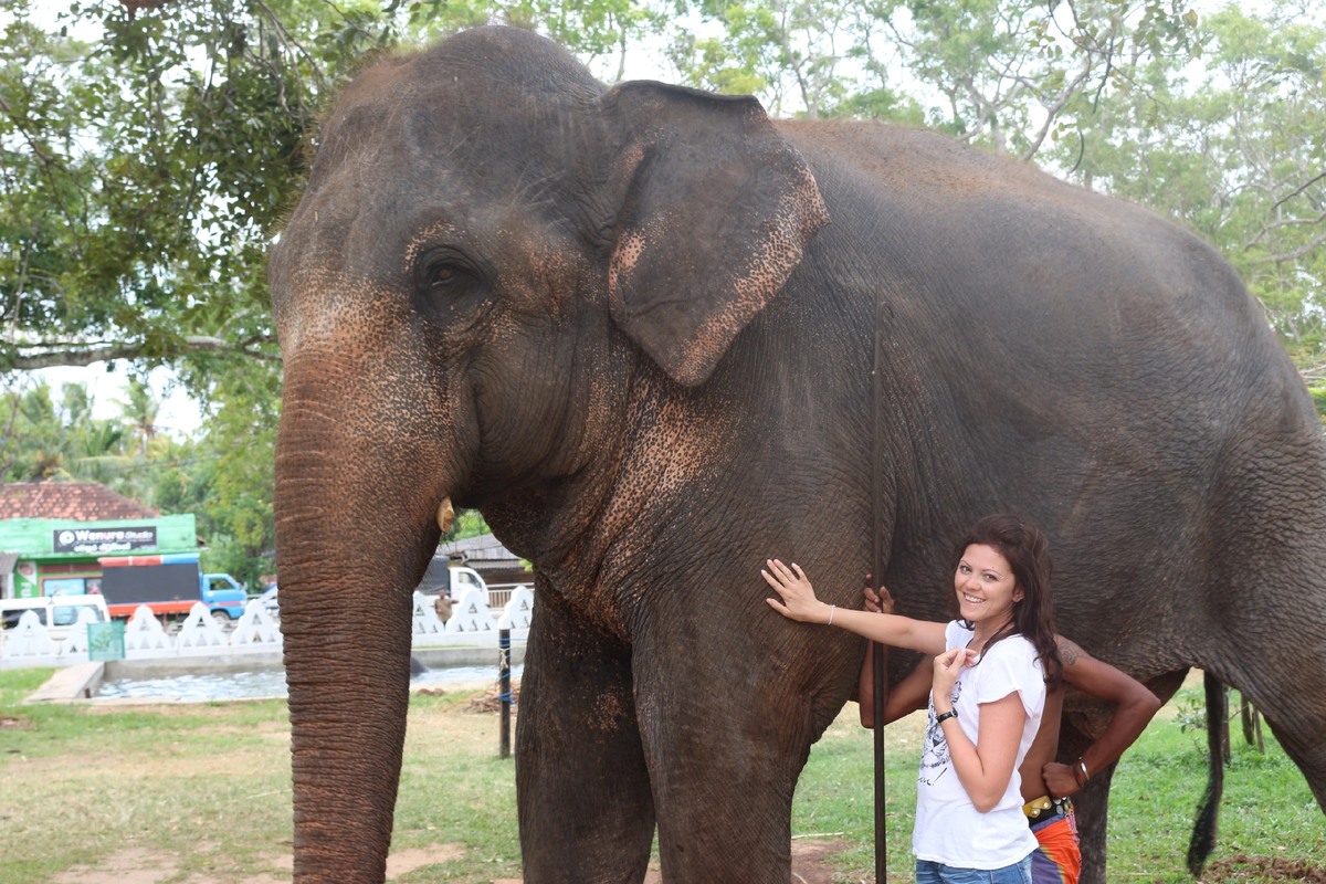 Еще один мой друг ❤️