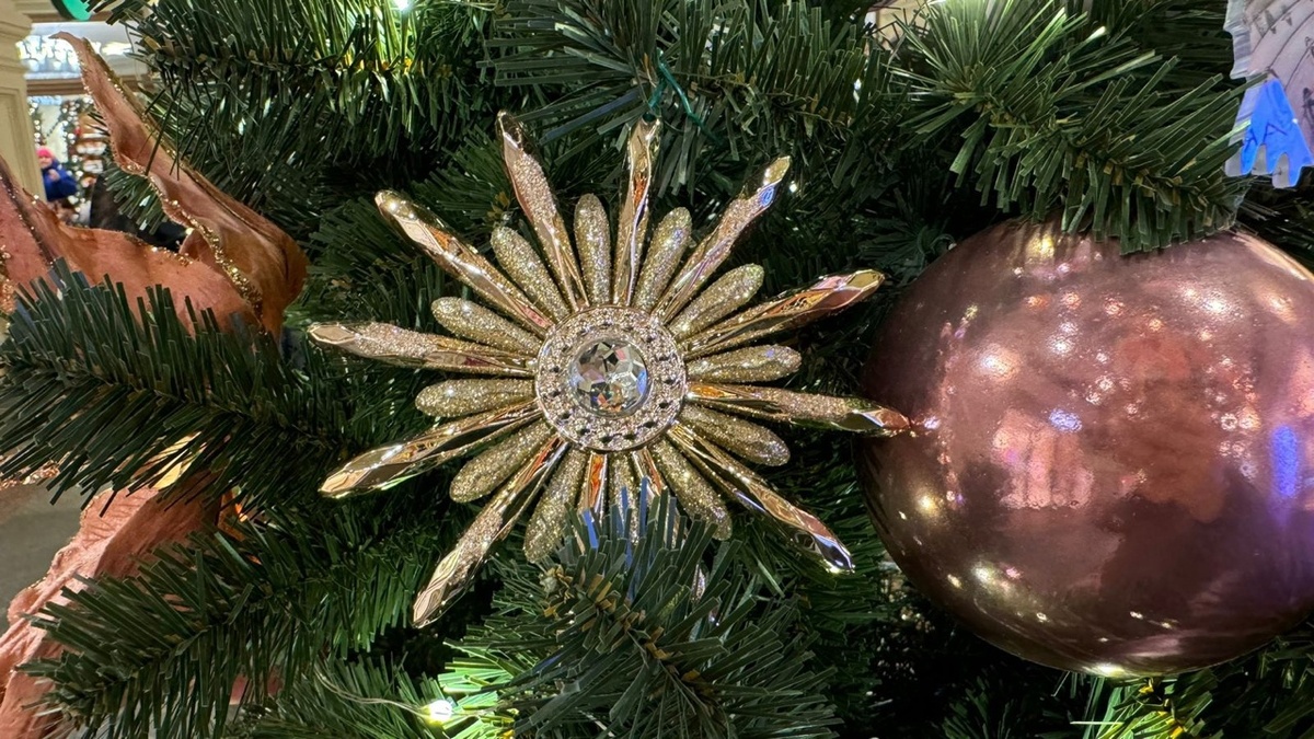 Фото: UfacityNews.ru