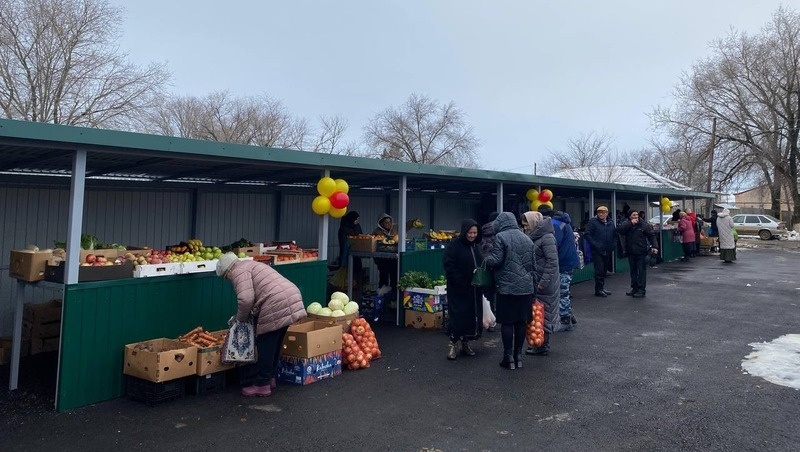      Фото: администрация Андроповского округа