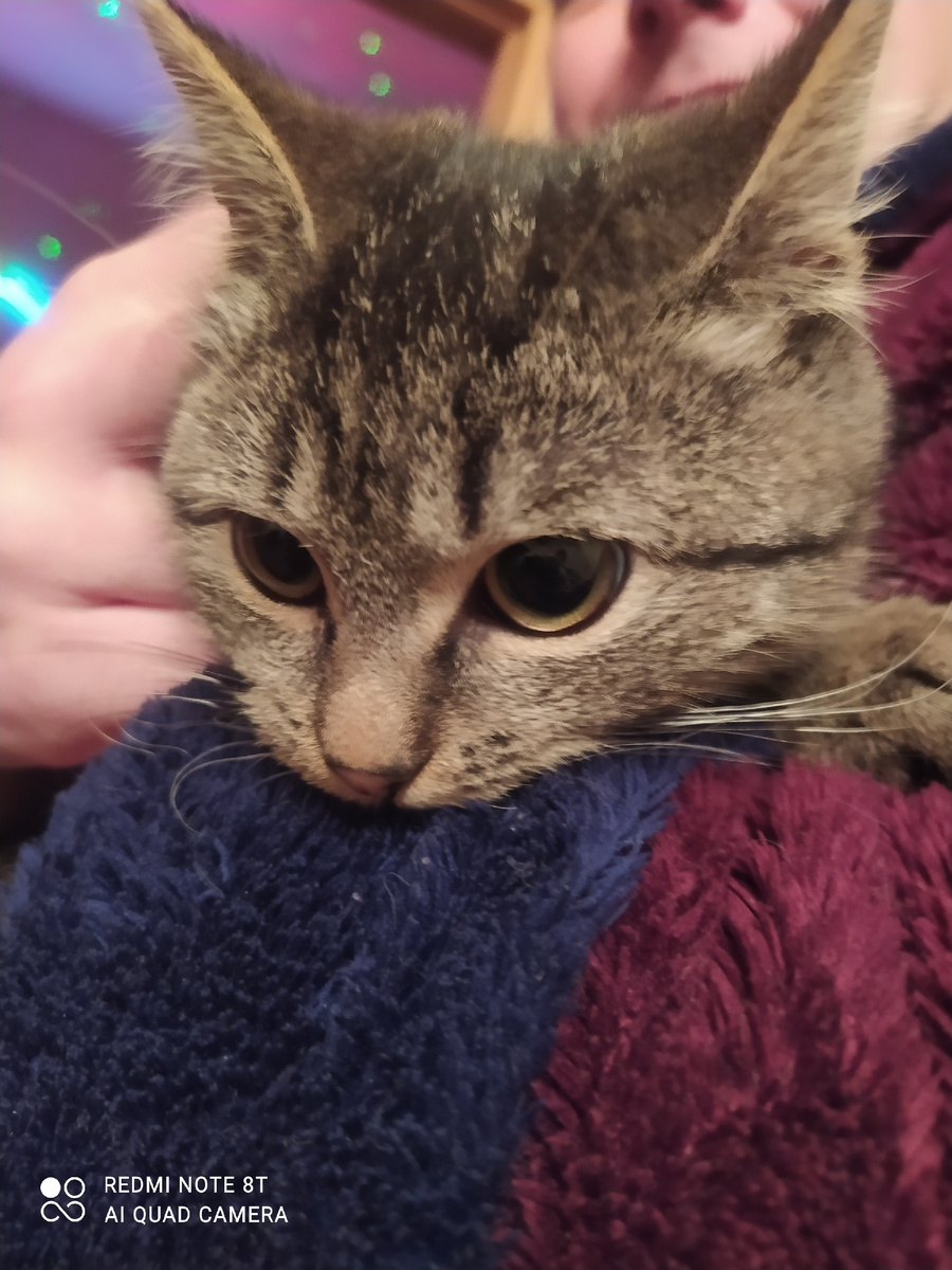 У сына на руках