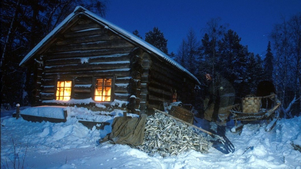    Фото: Sergei Zaitsev