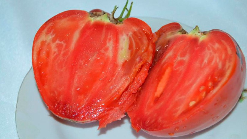 Плод сорта "Белорусское сердце" весом более 700 граммов. Обратите внимание на плотную структуру мякоти и малое количество семян.