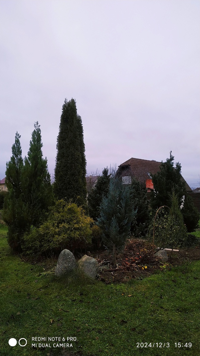 Возле центральной клумбы мрачновато...