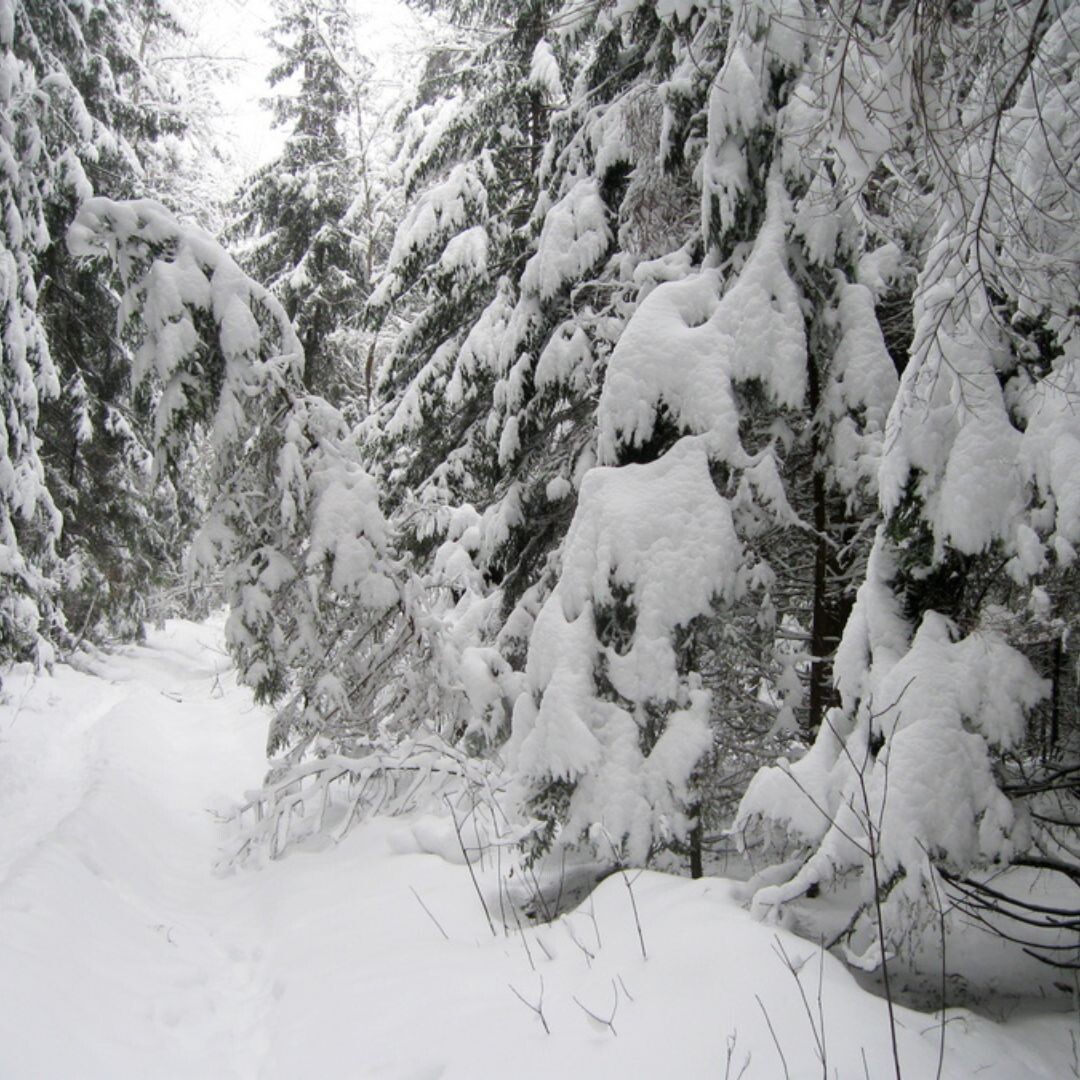 Фото: успеть до нового года, психолог Екатерина Кастрицкая, консультации онлайн