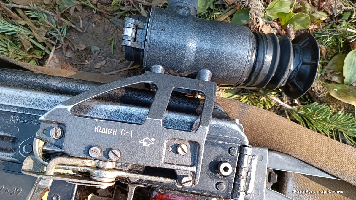 Оружие в лесу от хишников? Ответ чиновника - Вам не положено. Фото автора.