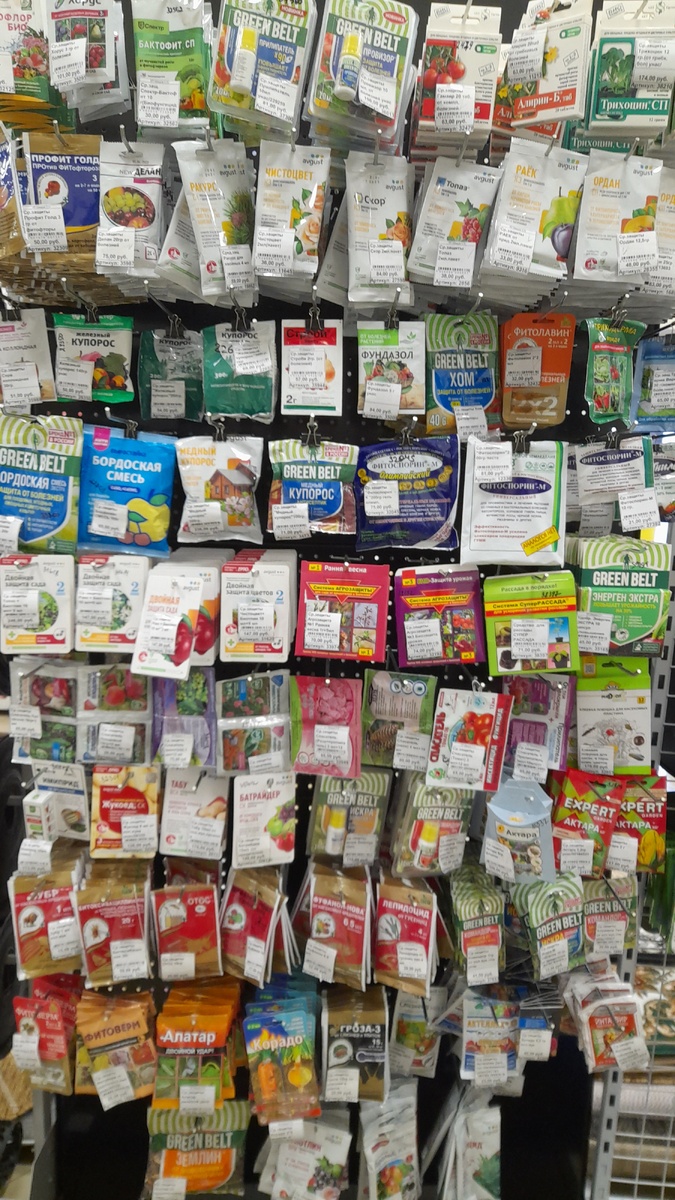 В нашем магазине. Фото автора