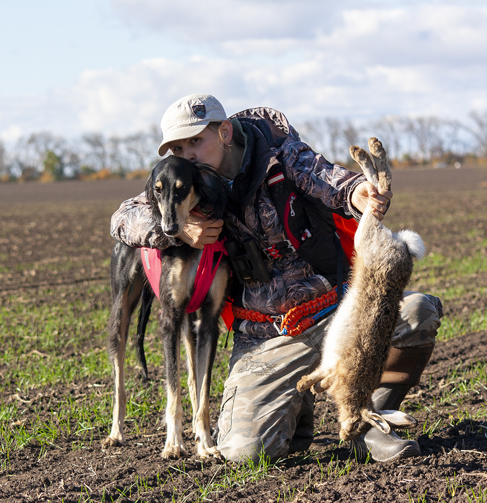борзая Тазы - Сэхра Эль Мор Бахт