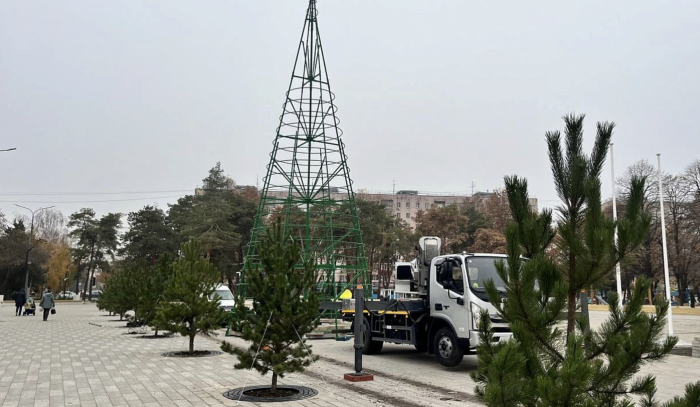    администрация Краснодара