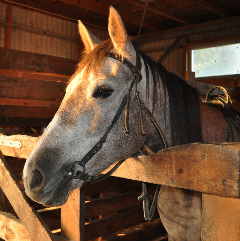 Персона собственной персоной!