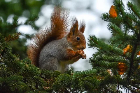 Из открытых источников.