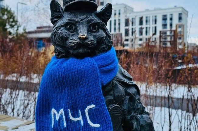    Кот в Тюмени