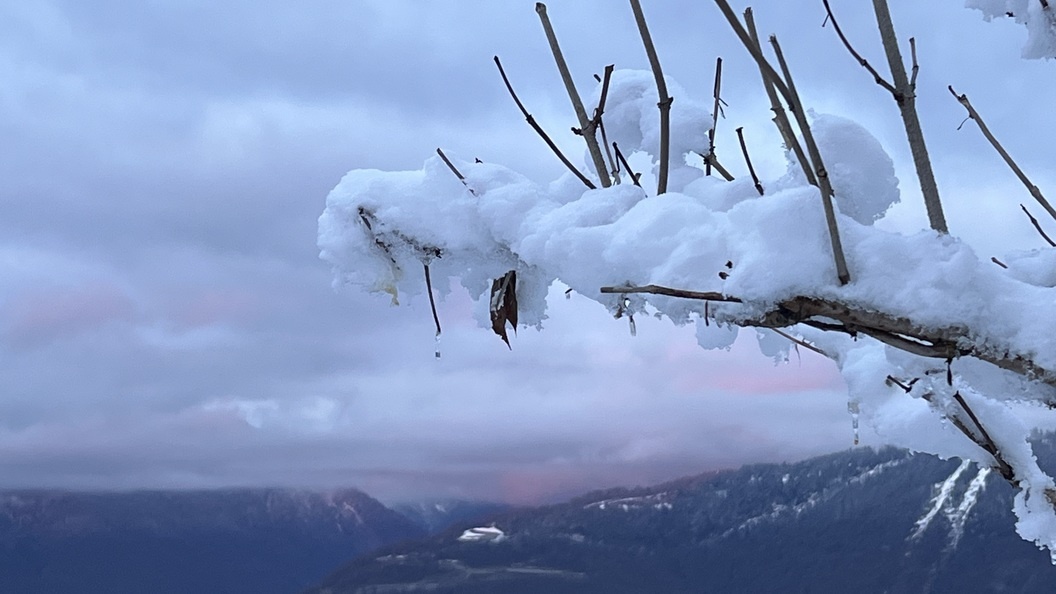    Фото: Царьград