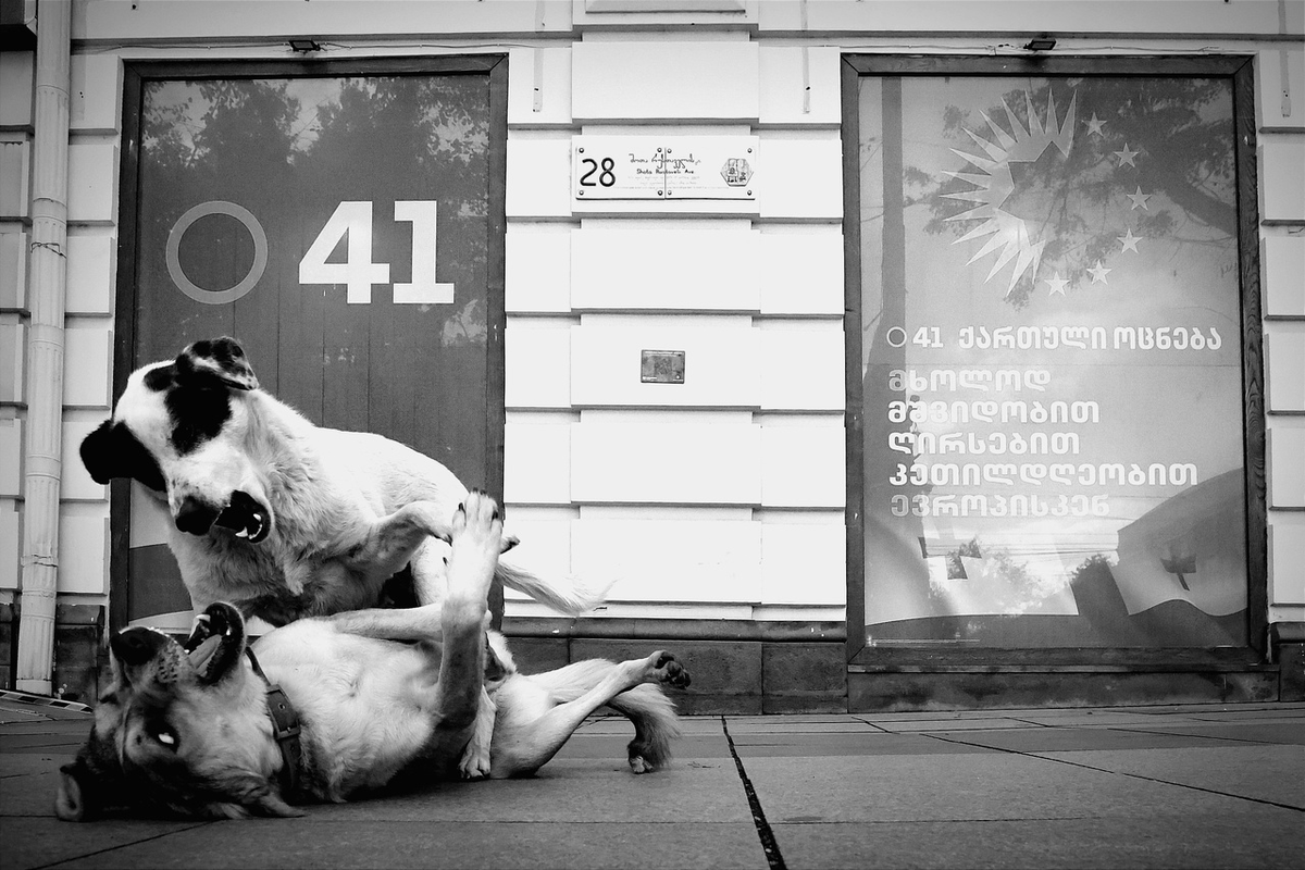 фото Алексей Белкин