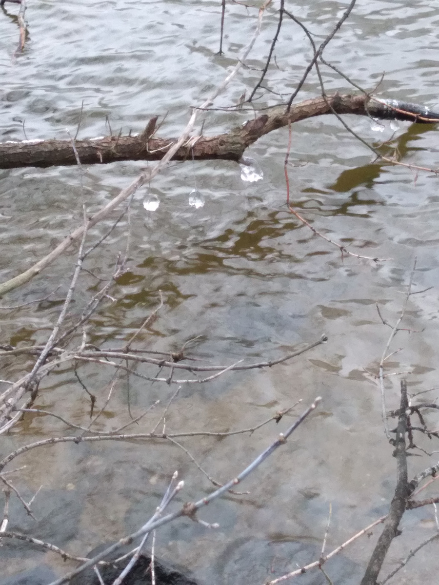 Фото автора. Листайте галерею.