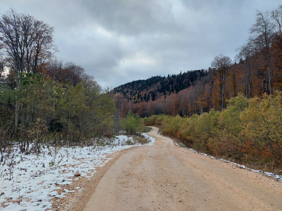 Дорога к водопаду