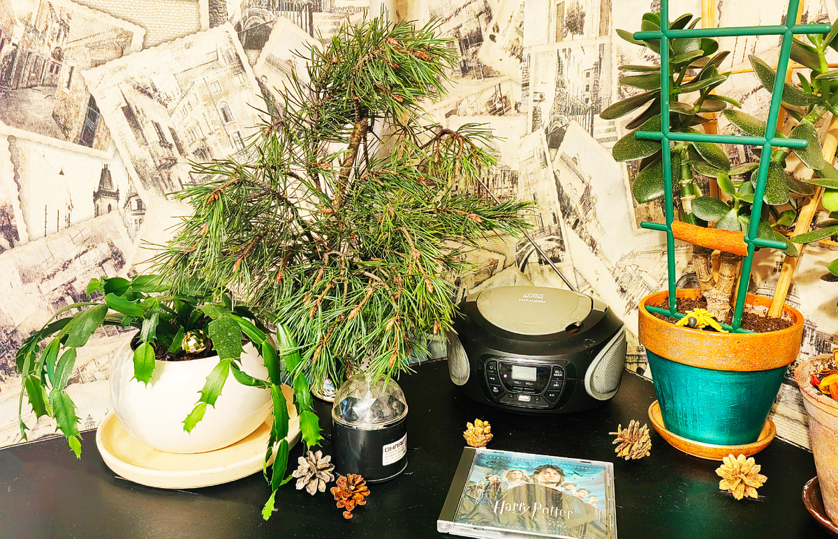 Фото из личного архива