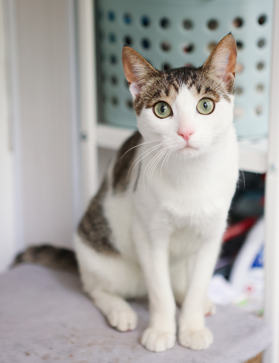 Да. Кристиан это я. А ты кто?