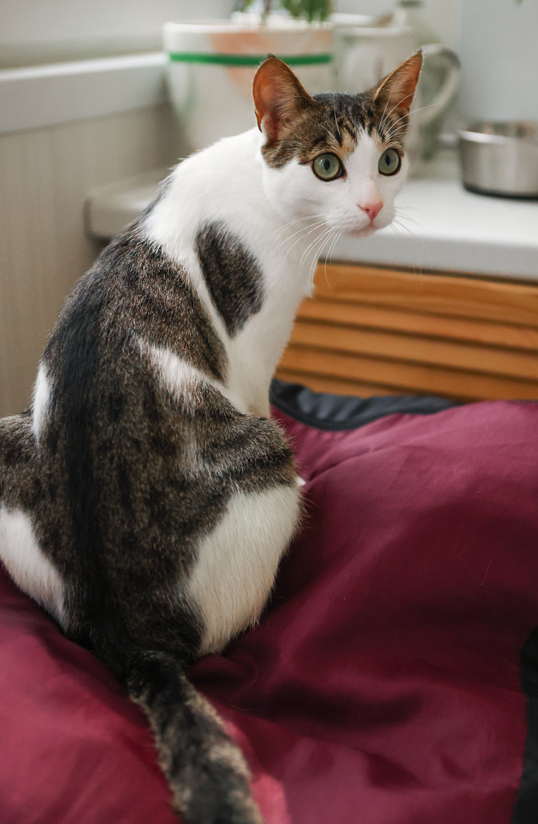 Ты про меня рассказываешь?? Не верьте ей!