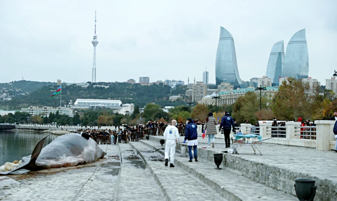 Источник фото: turan.az