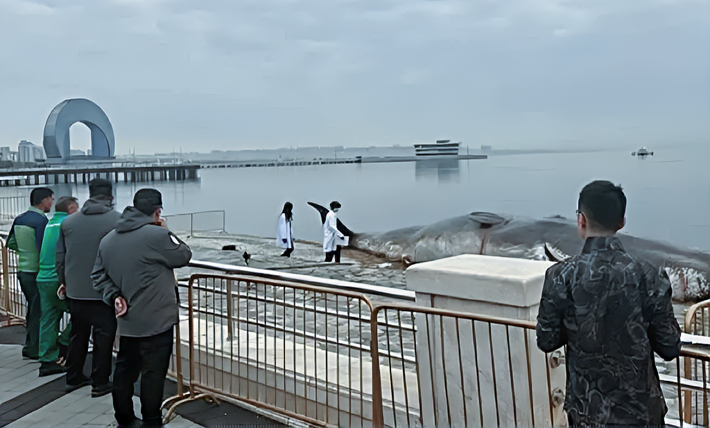 Снимок: knife.media