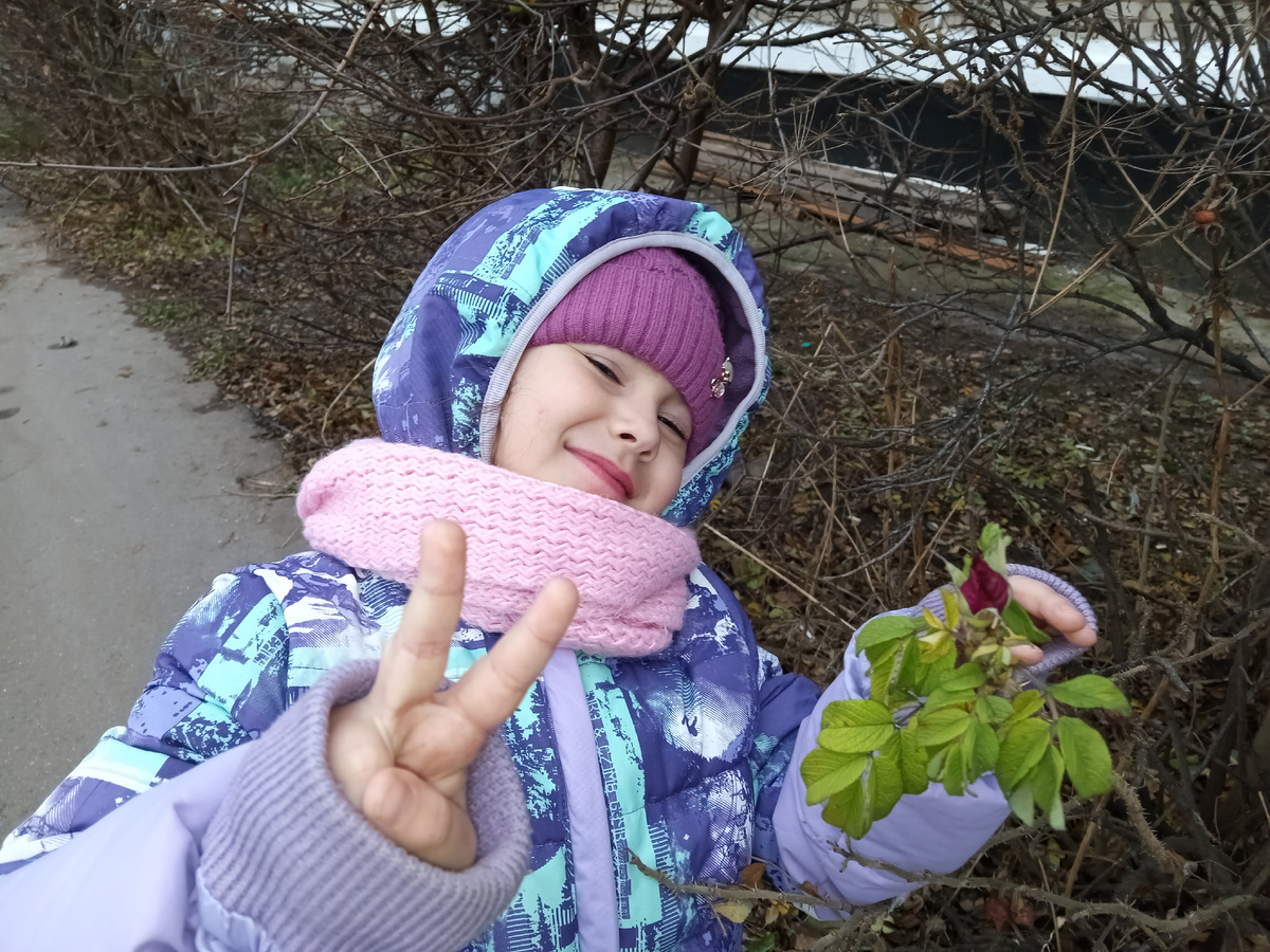 Виолетта 3 декабря 2024г. 