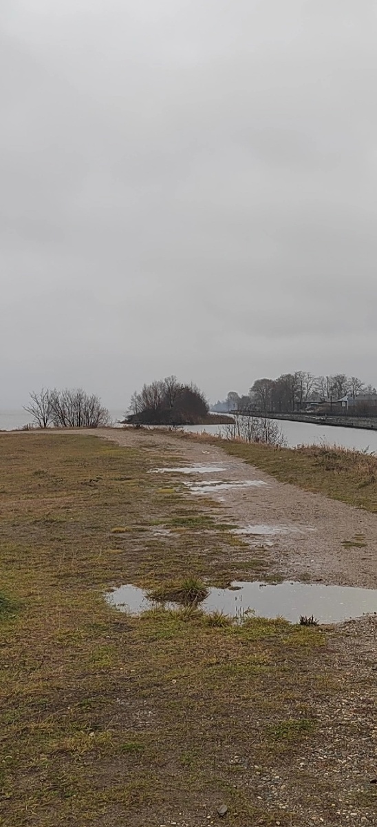 Такой декабрь...и вечные сумерки.