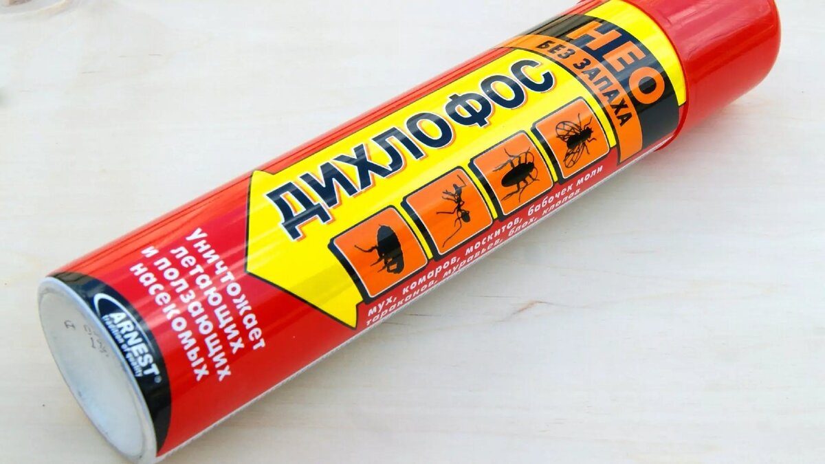     Источник: nashgorod.ru