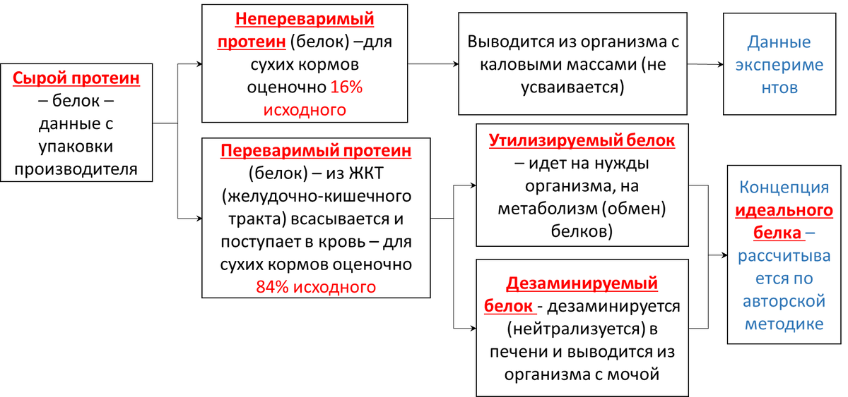Схема градации белка корма по дальнейшему сипользованию организмом