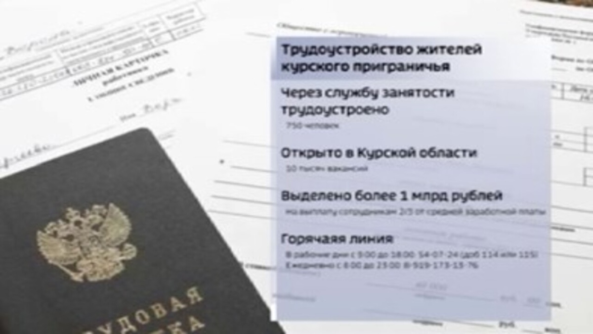   Министр труда и занятости Курской области провела встречу с переселенцами, которые нашли новую работу
