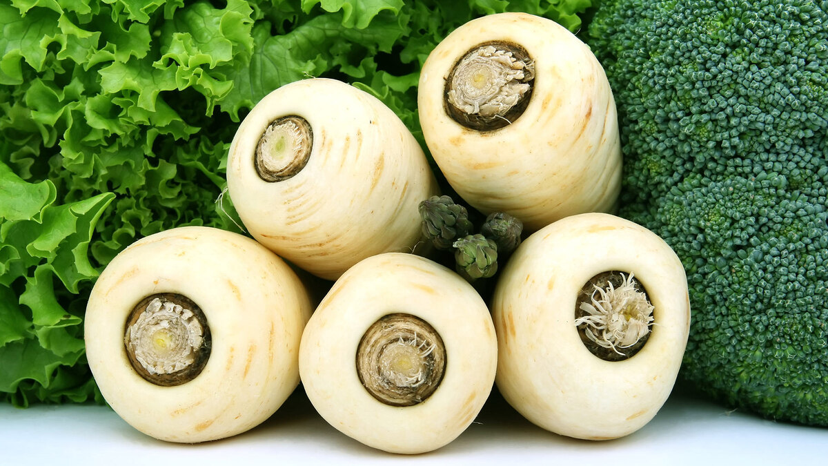 Фото: pixabay.com