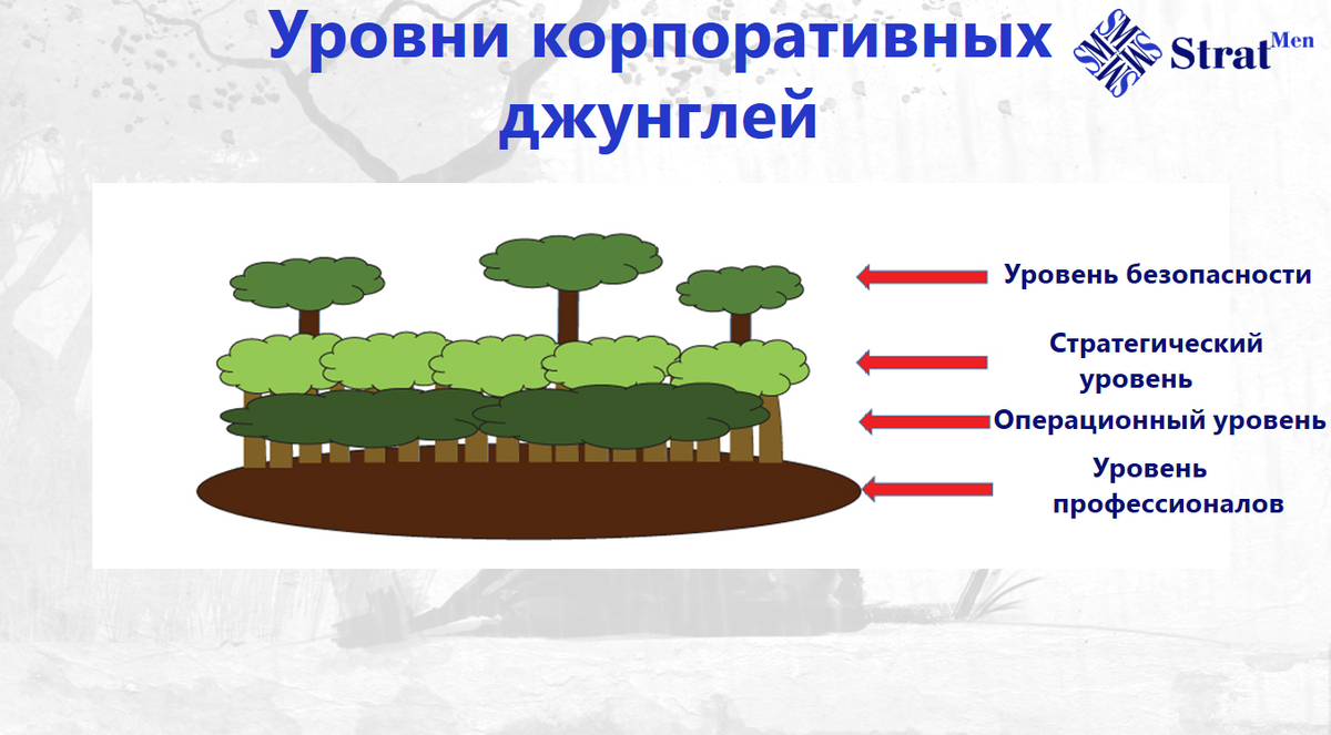 Уровни корпоративных джунглей