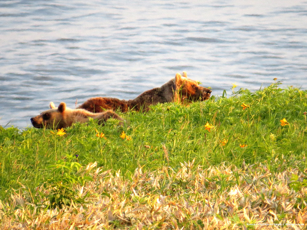 Младшая жена Фёдора с отпрыском.