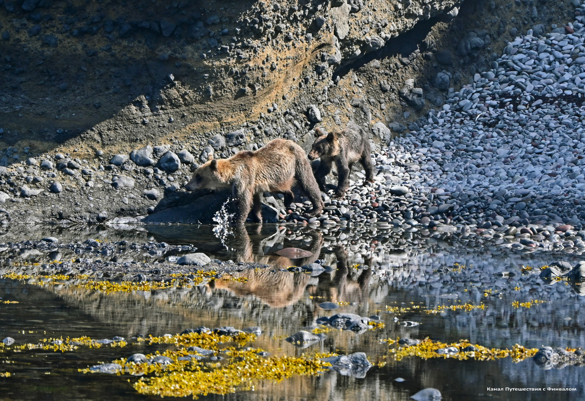Старшая жена Фёдора с отпрыском (фото Марины Скотниковой)