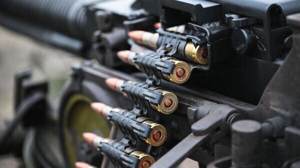    © РИА Новости . Константин Михальчевский