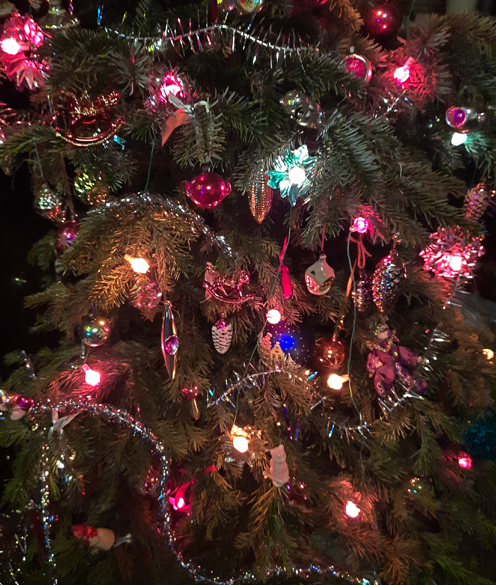 Все фотографии в статье мои