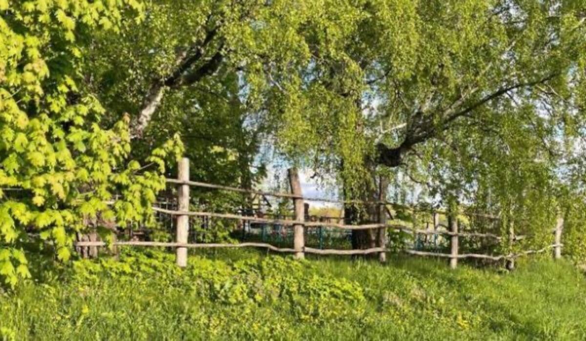     Кладбище. Источник: samadm.ru Автор фото: ВГТРК Самара / Вероника Тивикова