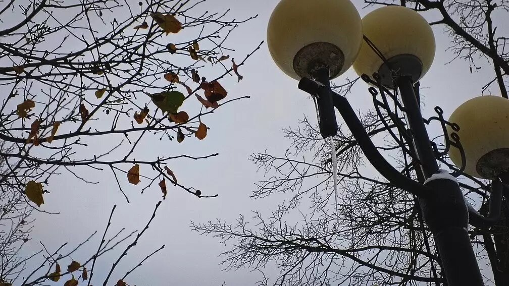     Источник: 1MI