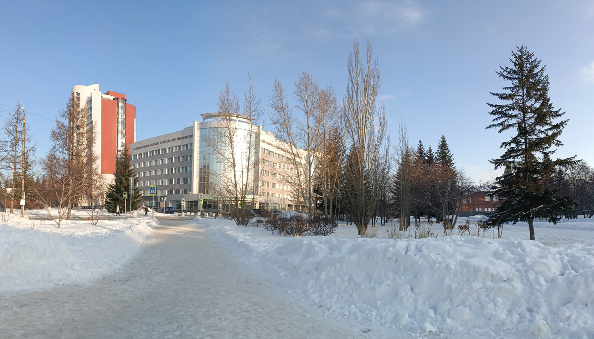 Где-то на просторах моего города. Фотография автора, декабрь 2024 год. 