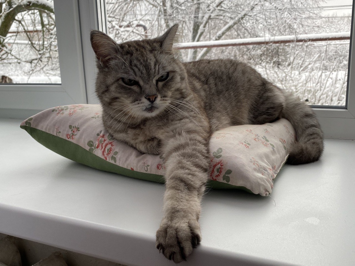 Ты, там, это... Пургу не гони!... 