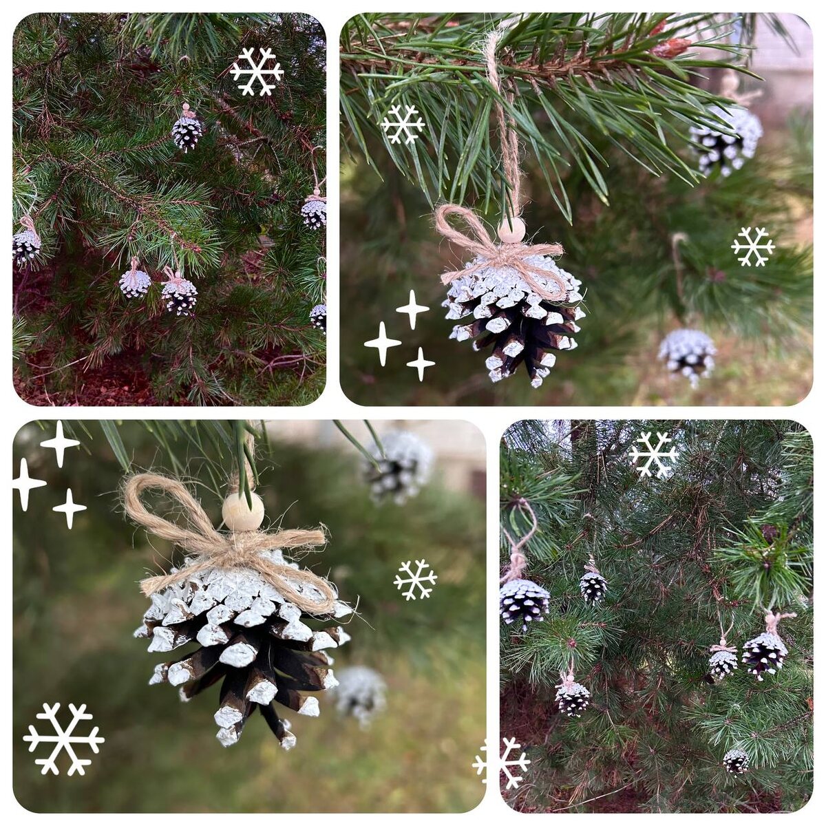 Заснеженные сосновые шишки. Фото и работа автора статьи.