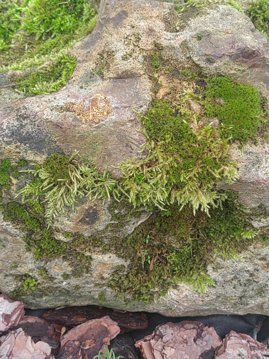 Один из самых древних моих камней.