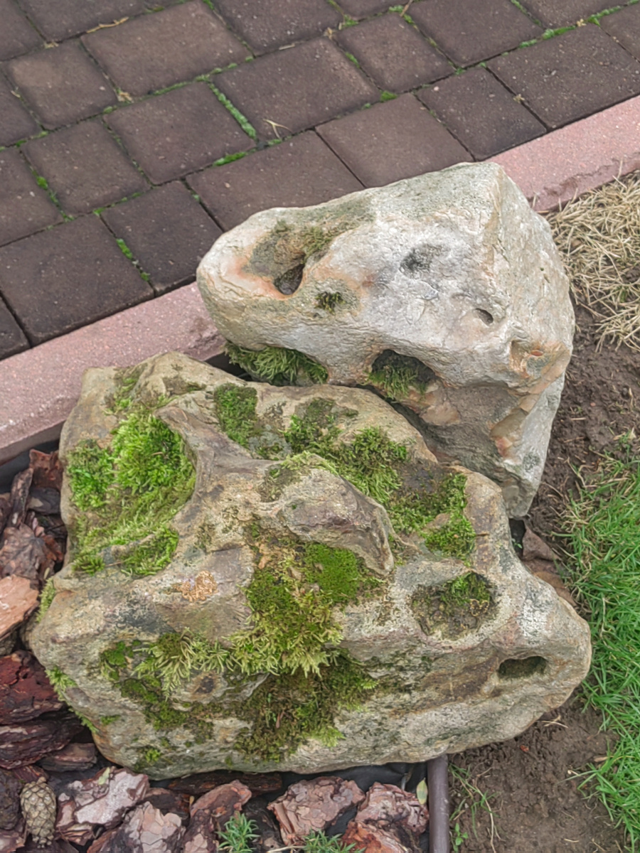 Вернее,их  два, только в моем саду они царствуют  без малого 30 лет , а сколько до этого в речке проживали, о том история умалчивает.