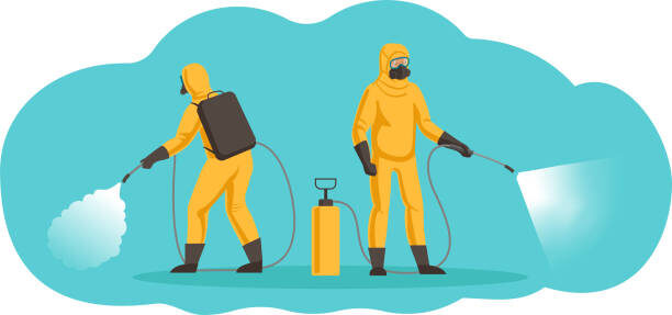 Дезинфекция насекомых в Москве +7(966)165-65-87