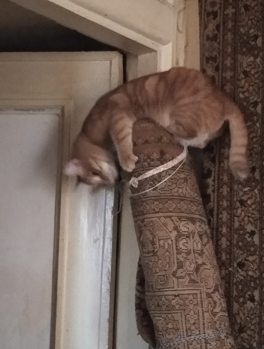 Личное фото