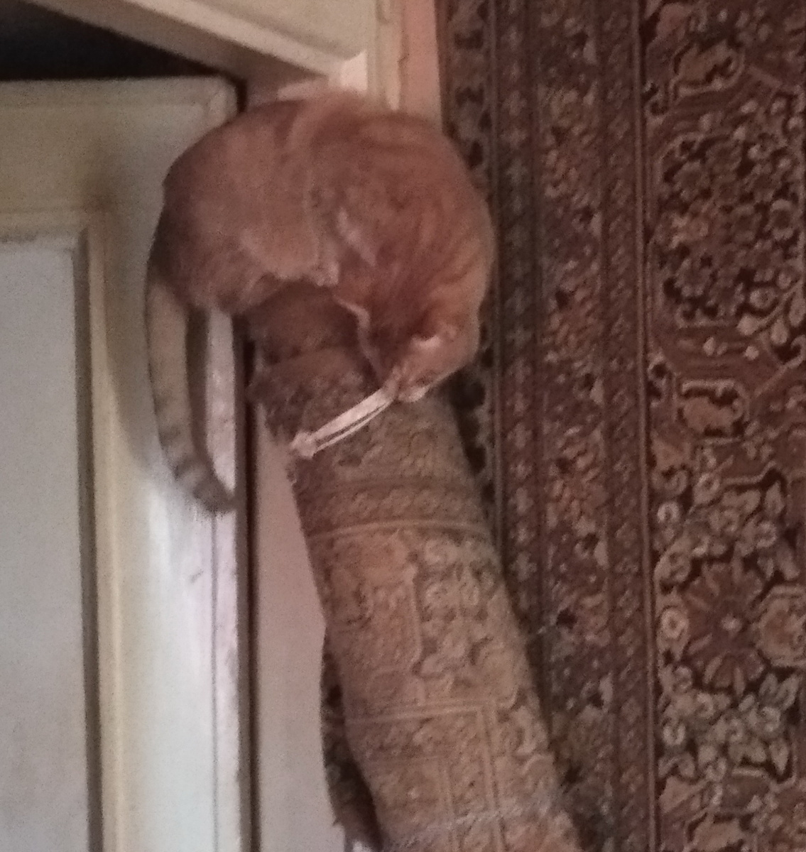 Личное  фото