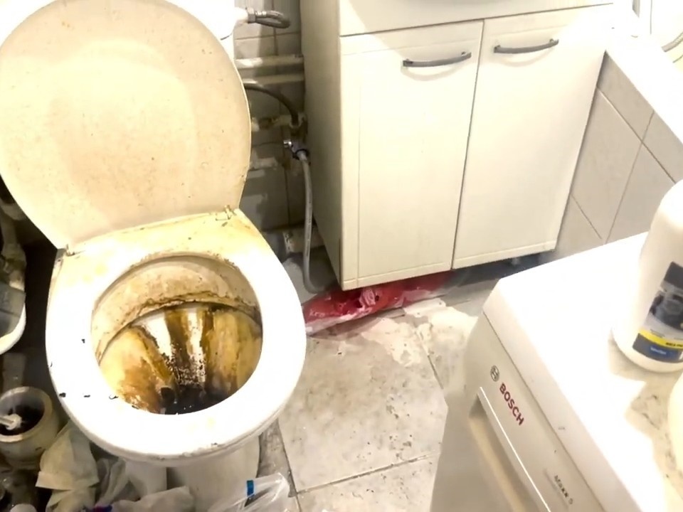 давно не проводилась уборка санузла