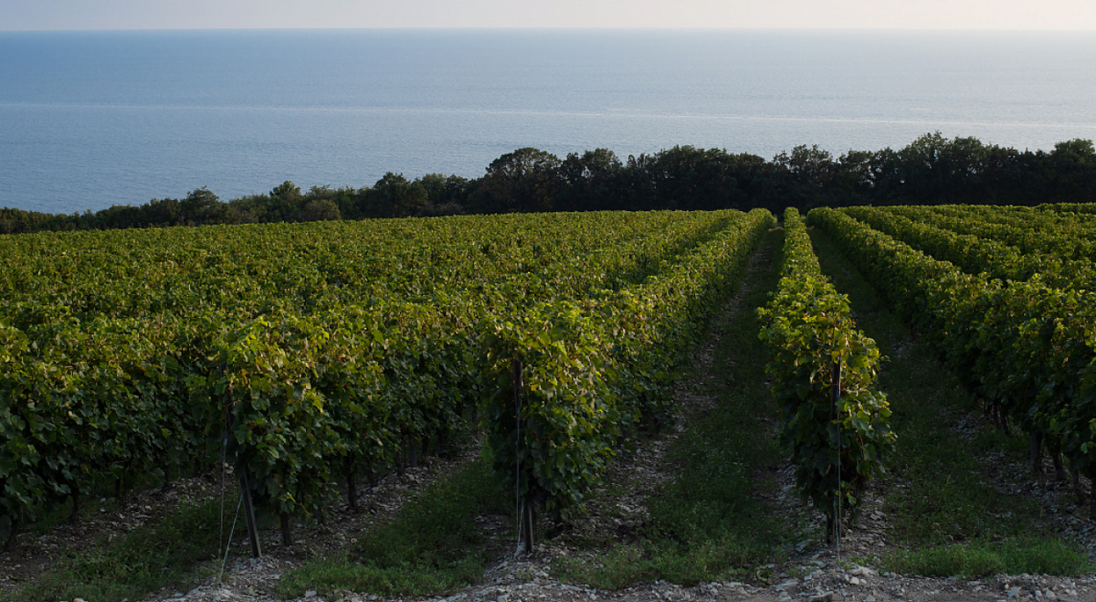Фото: chateaudetalu.ru